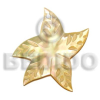 35mm mop starfish design