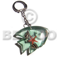52mmx36mm transparent light green