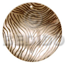 Round 40mm hammershell zebra