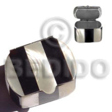 Stainless metal casing inlaid