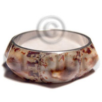 Limpet shells in 1in.