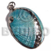 Glistening turquoise abalone approx.