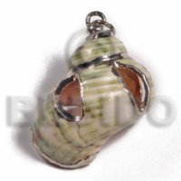Green turbo shell approx.