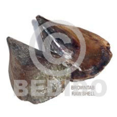 Ra unpolished browntab shells