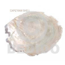 Ra unpolished capiz shells