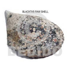 Ra unpolished blacktab shells