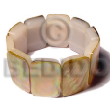 30mmx20mm brownlip resin backing