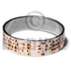 Laminated cowrie shell in