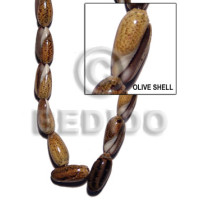 Olive shell whole