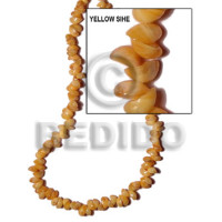Yellow sihe shell