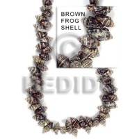 Frog shell brown medium