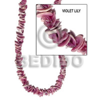 Violet lily