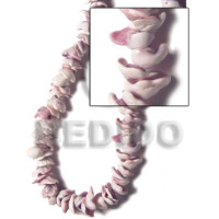 Cone top violet oyster