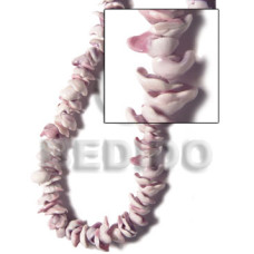 Cone top violet oyster