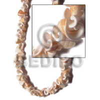 Everlasting conus
