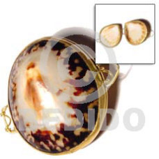 Limpit shell coin purse