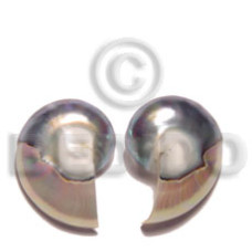 Nautilus earrings
