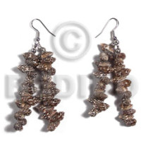 Dangling nassa tiger shells