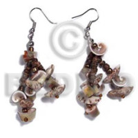Dangling buri tiger seeds