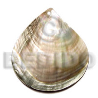 Pear shaped blacklip 50mm