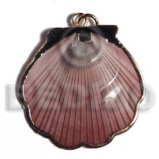 Amosiom shell approx. 35mm