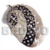 Glistening white abalone lapas approx.
