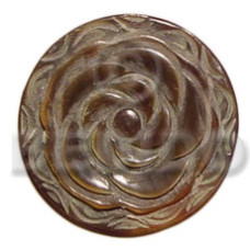 40mm round brownlip rose