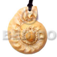 Cone melo shell