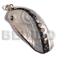 Glistening white abalone