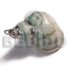 Green turbo shell approx.