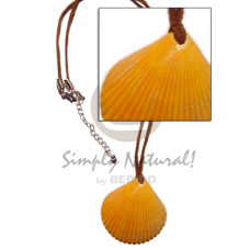 Clam golden yellow palium pigtim