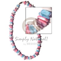 White rose in pastels